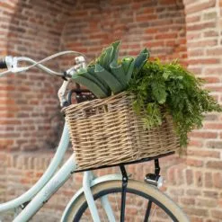 Porte-bagages Avant Pour Vélos De 20 à 24 Pouces Steco -Polisport Soldes porte bagages avant pour velos de 20 a 24 pouces steco full 4