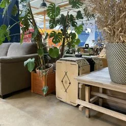 Remorque Vélo Convertible Coffre Arca 2306 Carette -Polisport Soldes remorque velo carette arca 7