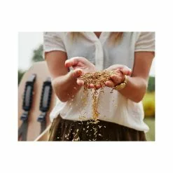 Siège Vélo Enfant Arrière Sur Porte-bagages Urban Iki Bio Momigara -Polisport Soldes siege velo enfant bio urban iki momigara 81781dcf 7b79 4324 867a c0d889032dc4